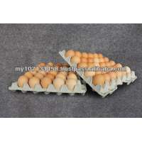 Disposable Paper Pulp 30 Eggs Egg Tray Carton