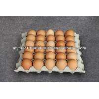 Paper Pulp Moulding Egg Tray with Holes