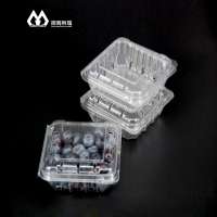 Disposable 125 g PET Plastic Clear Clamshell Blueberry Packaging