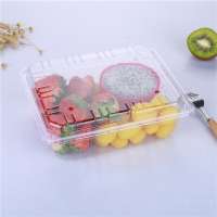 disposable plastic chamshell strawberry punnet PET blueberry box customized