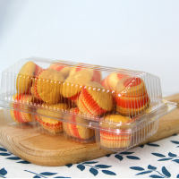 Disposable blister plastic clamshell clear bakery cakes and pastry packaging transparent cake box packages