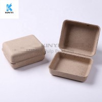 Eco-friendly Clamshell Paper Pulp Box Packaging